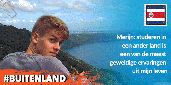 afbeelding bericht