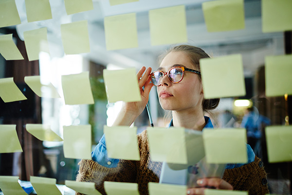 De ideale werkgever De ideale werkgever